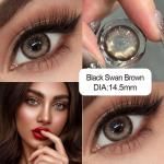 Black swan brown