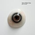 恐惧黑瞳 Terror Black Eye-假眼睛