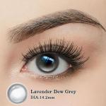 董衣草露珠灰Lavender Dew Grey上眼图01