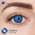 COS2610眼睛图02