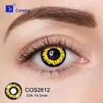 COS2612眼睛图02