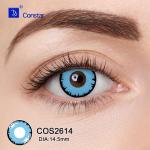 COS2614眼睛图02