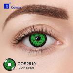 COS2619眼睛图02