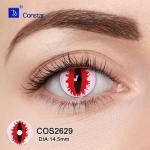 COS2629眼睛图02