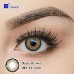 Daisy Brown陈皮水棕上眼图01